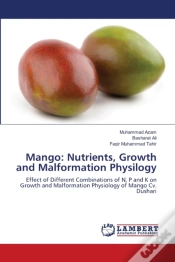Capa do artigo Mango