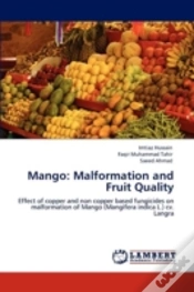 Capa do artigo Mango