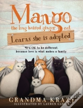 Mango (The Long Haired Ginger Cat) Learns She Is Adopted