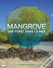 Capa do artigo Mangrove ; Une Forêt Dans La Mer