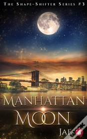 Capa do artigo Manhattan Moon