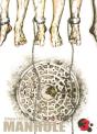 Manhole Tome 3 - Preview