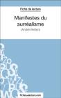 Manifestes Du Surréalisme - Preview