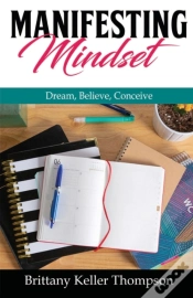 Capa do artigo Manifesting Mindset