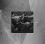 Manifesto Rumoratorio - Vinil - Preview
