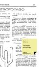 Manifiesto Antropófago - Preview