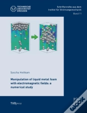 Capa do artigo Manipulation Of Liquid Metal Foam With Electromagnetic Fields