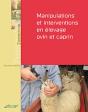 Manipulations Et Interventions En Élevage Ovin Et Caprin - Preview