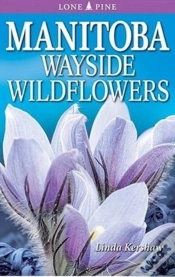 Capa do artigo Manitoba Wayside Wildflowers