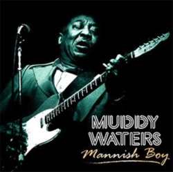 Capa do artigo Mannish Boy - Vinil