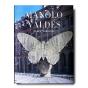 Manolo Valds - Preview
