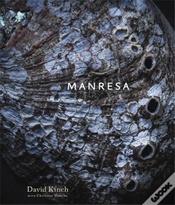 Capa do artigo Manresa