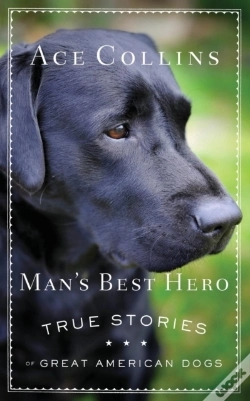 Capa do artigo Man'S Best Hero