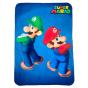 Manta Polar - Super Mario Bros - Preview