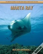 Capa do artigo Manta Ray