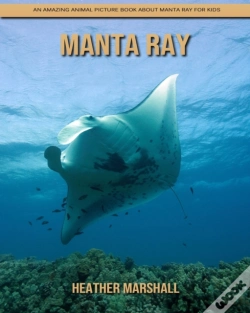 Capa do artigo Manta Ray