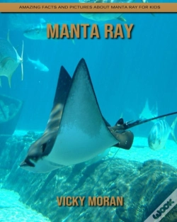 Capa do artigo Manta Ray