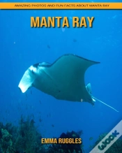Capa do artigo Manta Ray