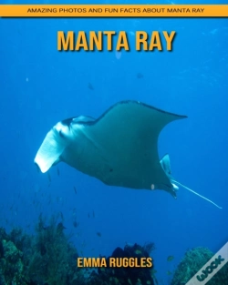 Capa do artigo Manta Ray