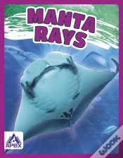Capa do artigo Manta Rays
