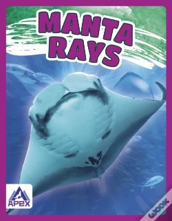 Capa do artigo Manta Rays