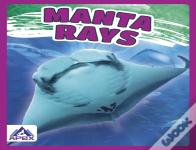 Manta Rays
