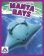 Manta Rays - Preview