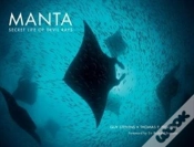 Capa do artigo Manta: Secret Life Of Devil Rays