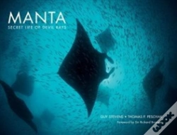 Capa do artigo Manta: Secret Life Of Devil Rays