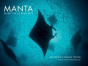 Manta: Secret Life Of Devil Rays - Preview