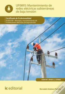 Capa do artigo Mantenimiento De Redes Eléctricas Subterráneas De Baja Tensión. Elee0109