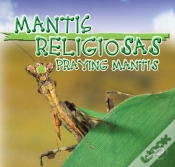 Capa do artigo Mantis Religiosas