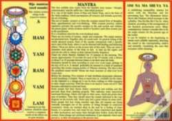 Capa do artigo Mantra