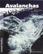 Manual De Avalanchas - Preview