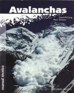 Capa do artigo Manual De Avalanchas