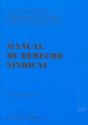 Manual De Derecho Sindical - Preview