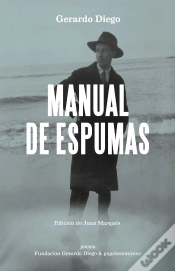 Capa do artigo Manual De Espumas