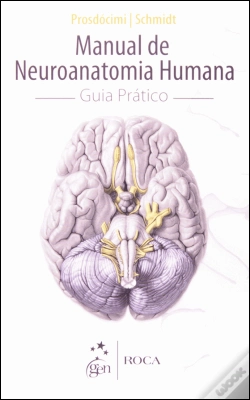 Capa do artigo Manual de Neuroanatomia Humana