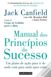 Capa do artigo Manual Dos Princípios De Sucesso