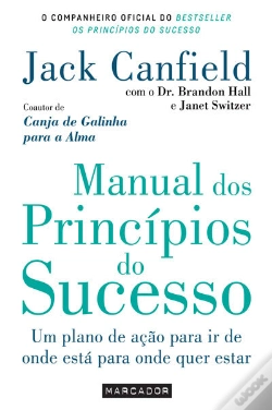 Capa do artigo Manual Dos Princípios De Sucesso