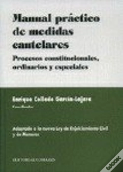 Capa do artigo Manual Practico De Medidas Cautela