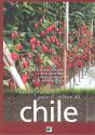Manual Práctico Para El Cultivo Del Chile - Preview