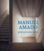 Manuel Amado - Pintura sem Álibi - Preview