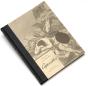 Manuel Casimiro - Caprichos - Preview