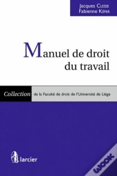 Manuel De Droit Du Travail