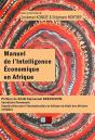 Manuel De L'Intelligence Économique En Afrique - Preview