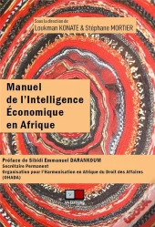 Manuel De L'Intelligence Économique En Afrique