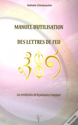 Capa do artigo Manuel D'Utilisation Des Lettres De Feu