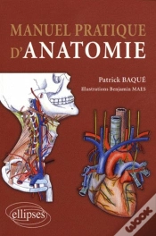 Capa do artigo Manuel Pratique D