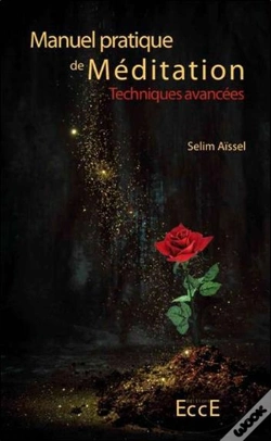 Capa do artigo Manuel Pratique De Méditation ; Techniques Avancées
